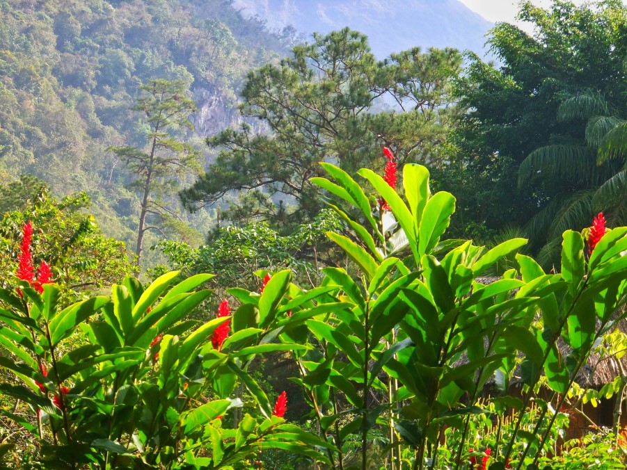 Antigua to Semuc Champey