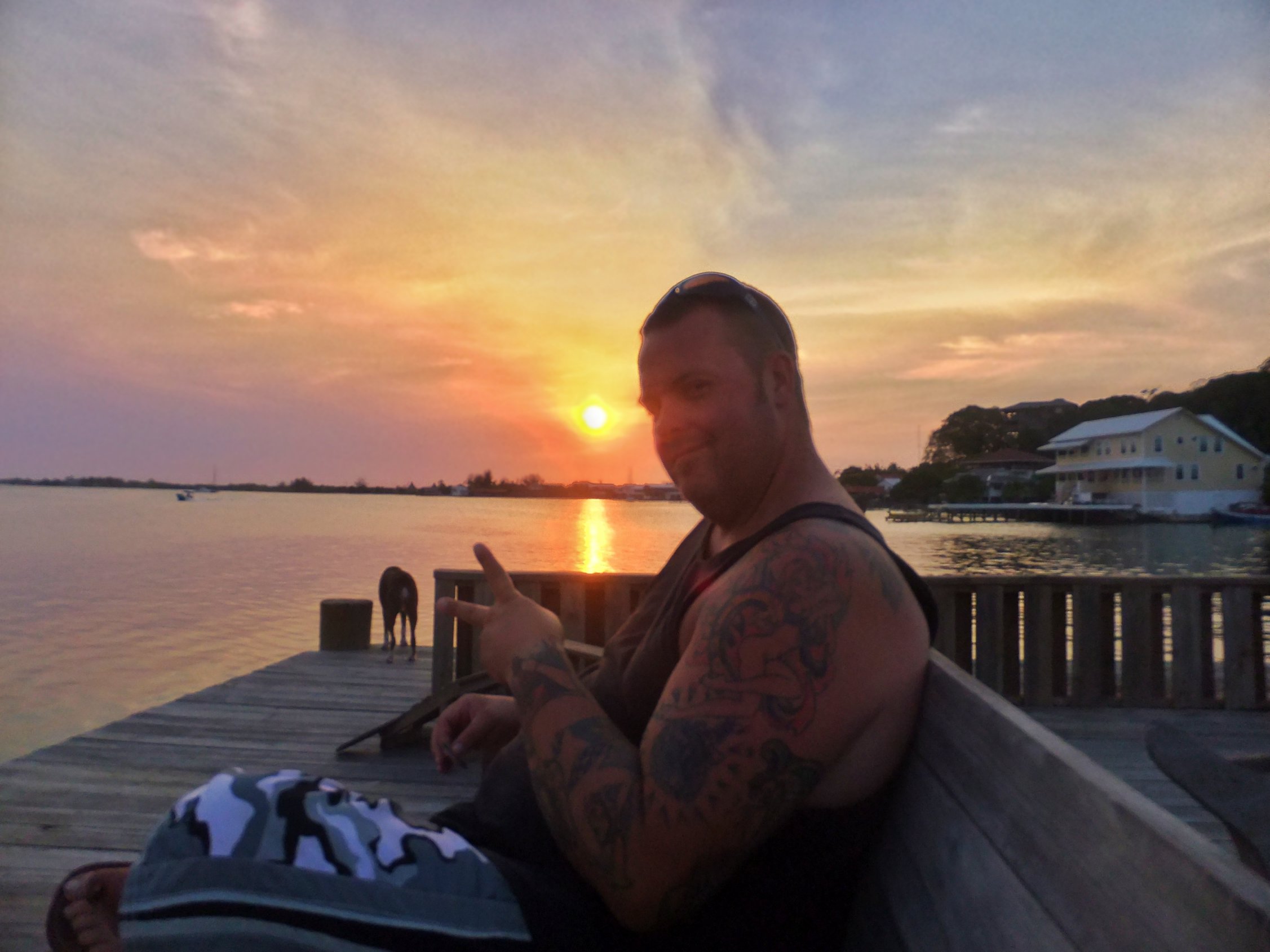 Whale Sharks In Utila