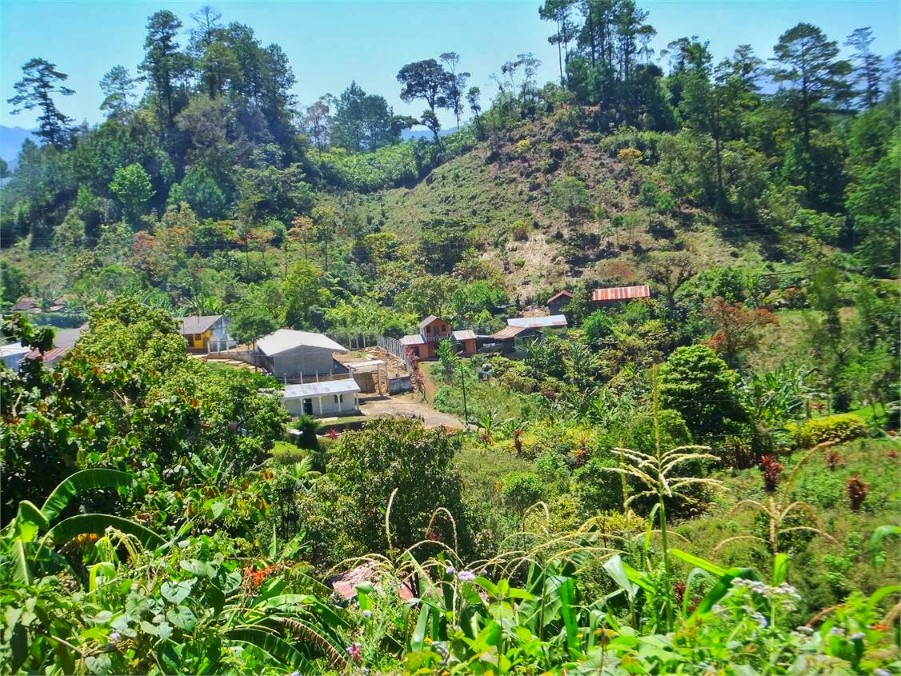 Antigua to Semuc Champey