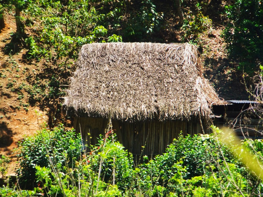 Antigua to Semuc Champey