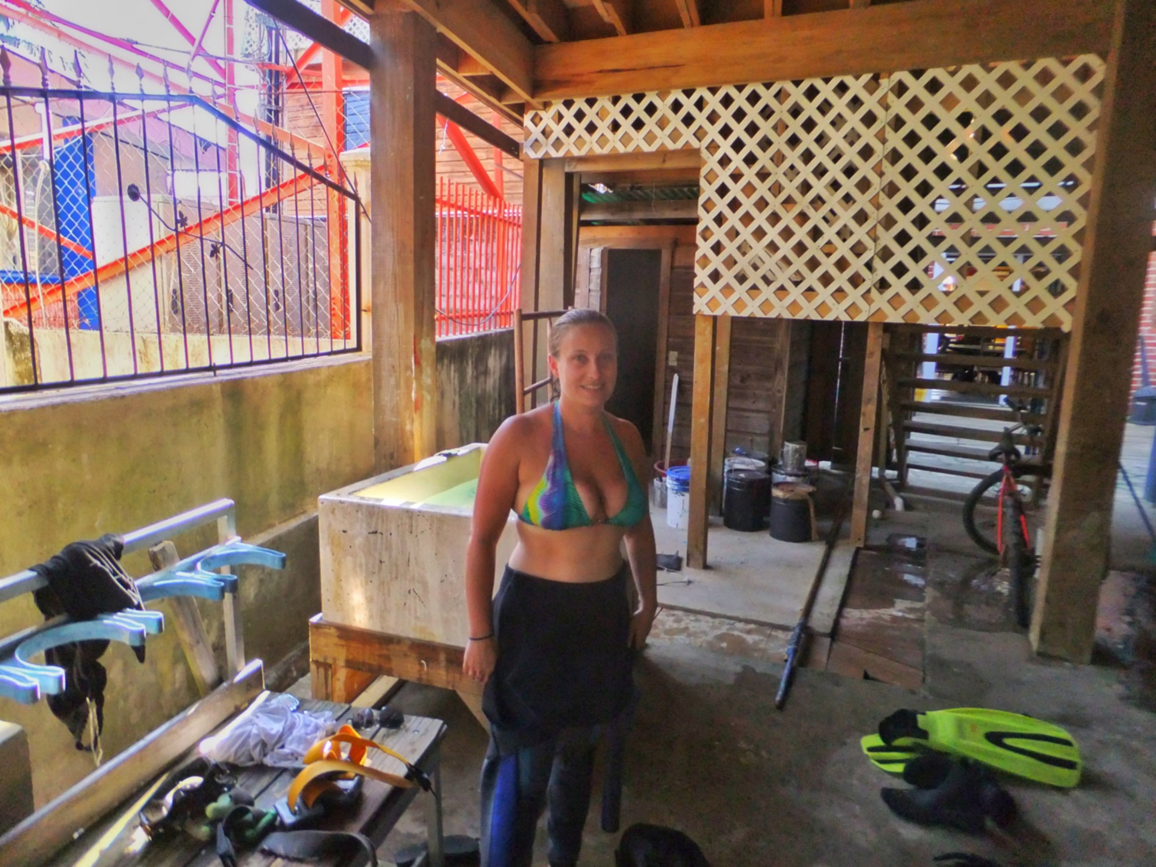 Introduction to Diving