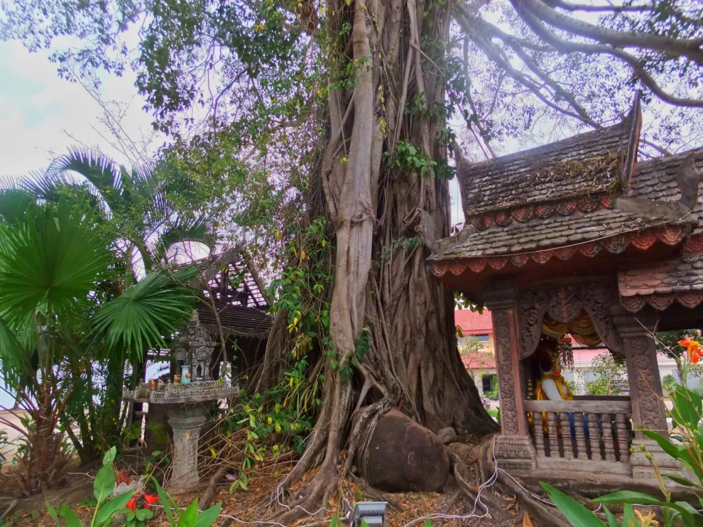 Sihanoukville and Serendipity Beach