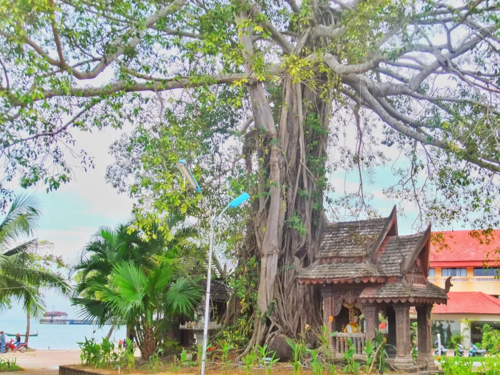 Sihanoukville and Serendipity Beach