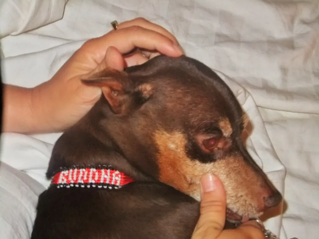 Sihanoukville and Serendipity Beach