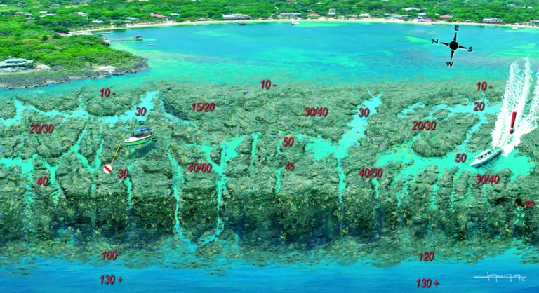 Top Scuba Dive Sites in Roatan