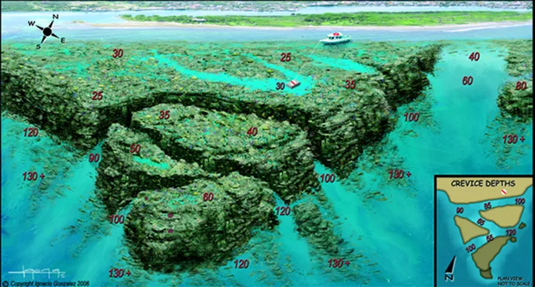 Top Scuba Dive Sites in Roatan