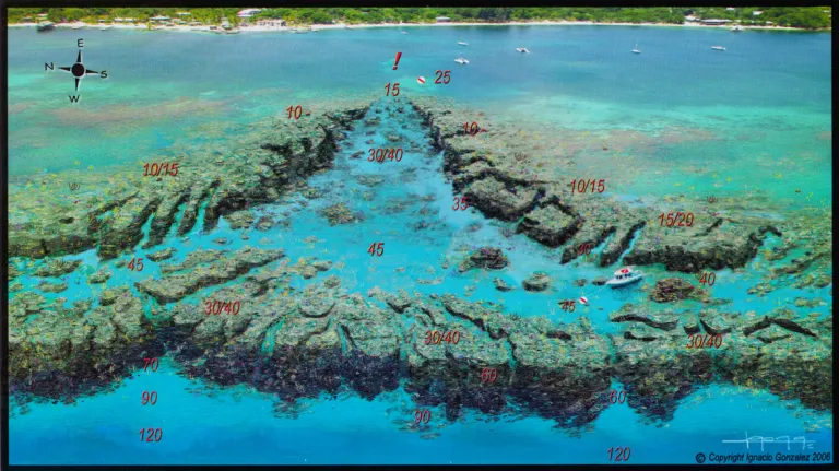 Top Scuba Dive Sites in Roatan