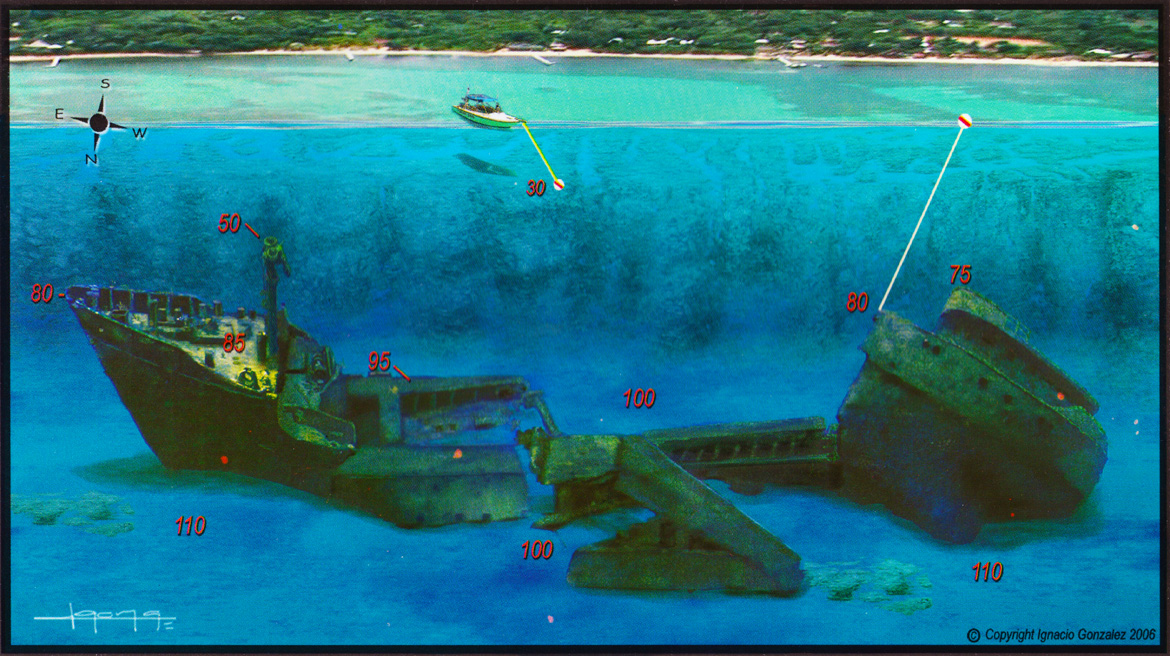 Top Scuba Dive Sites in Roatan