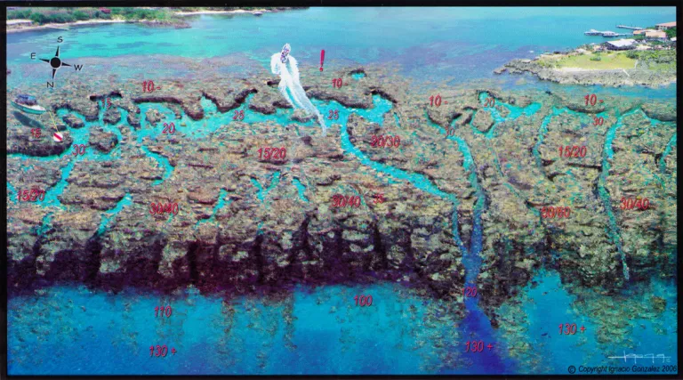 Top Scuba Dive Sites in Roatan