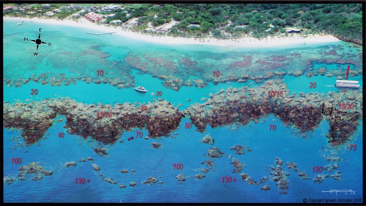 Top Scuba Dive Sites in Roatan