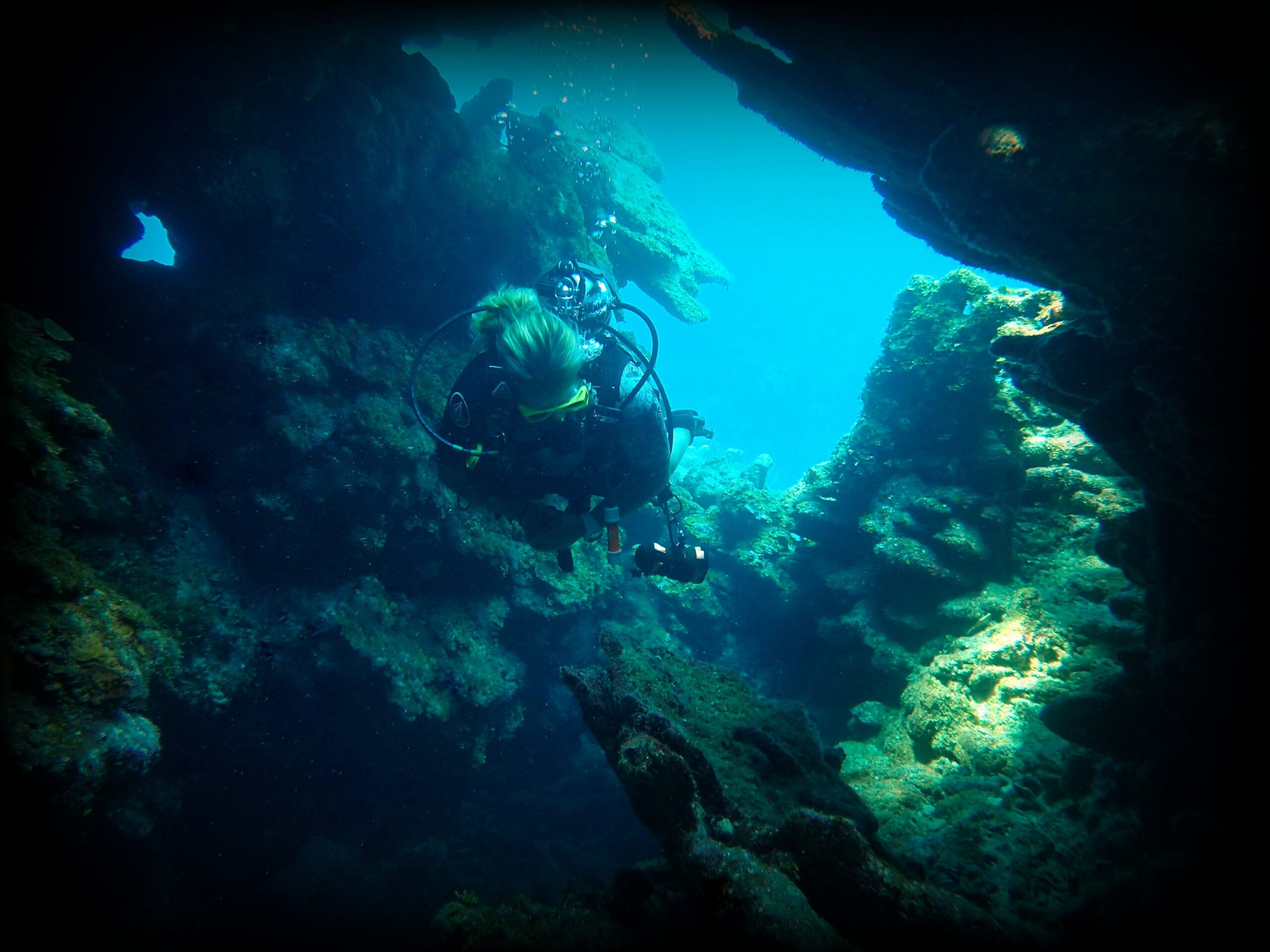 Top Scuba Dive Sites in Roatan