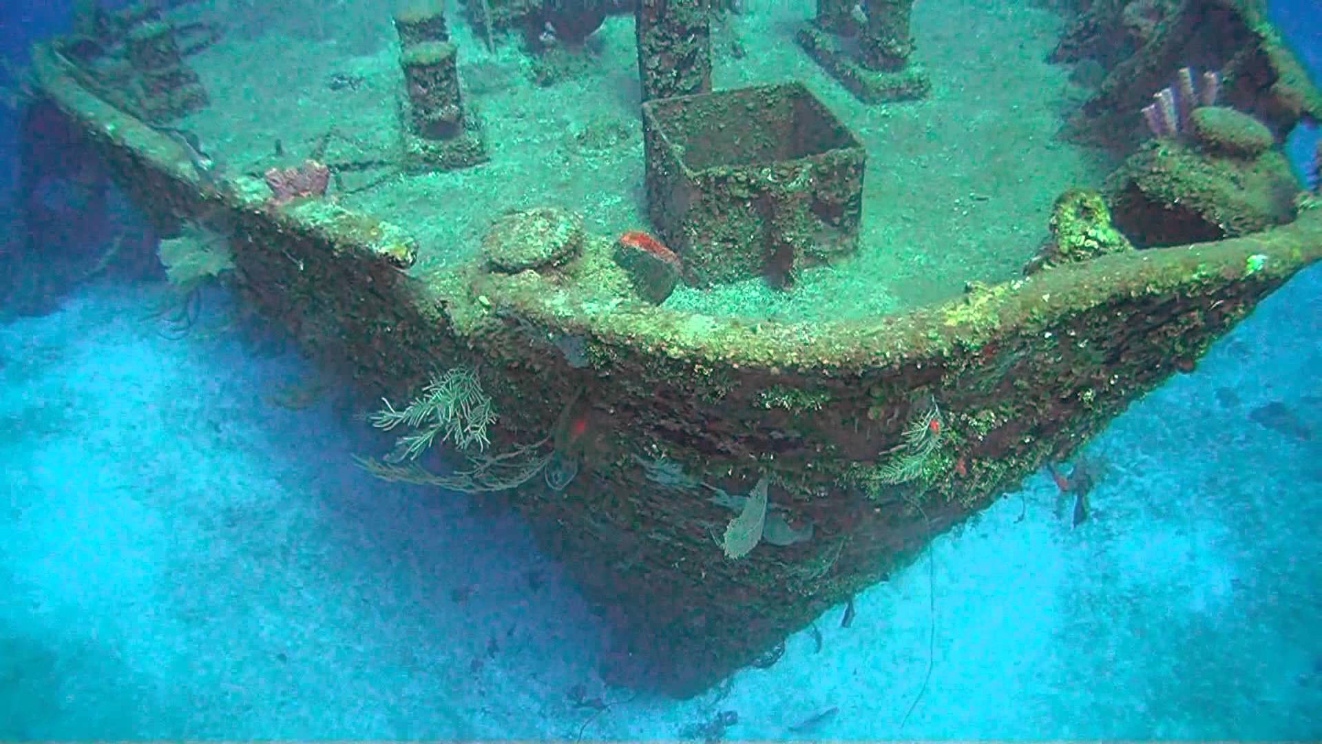 Top Scuba Dive Sites in Roatan