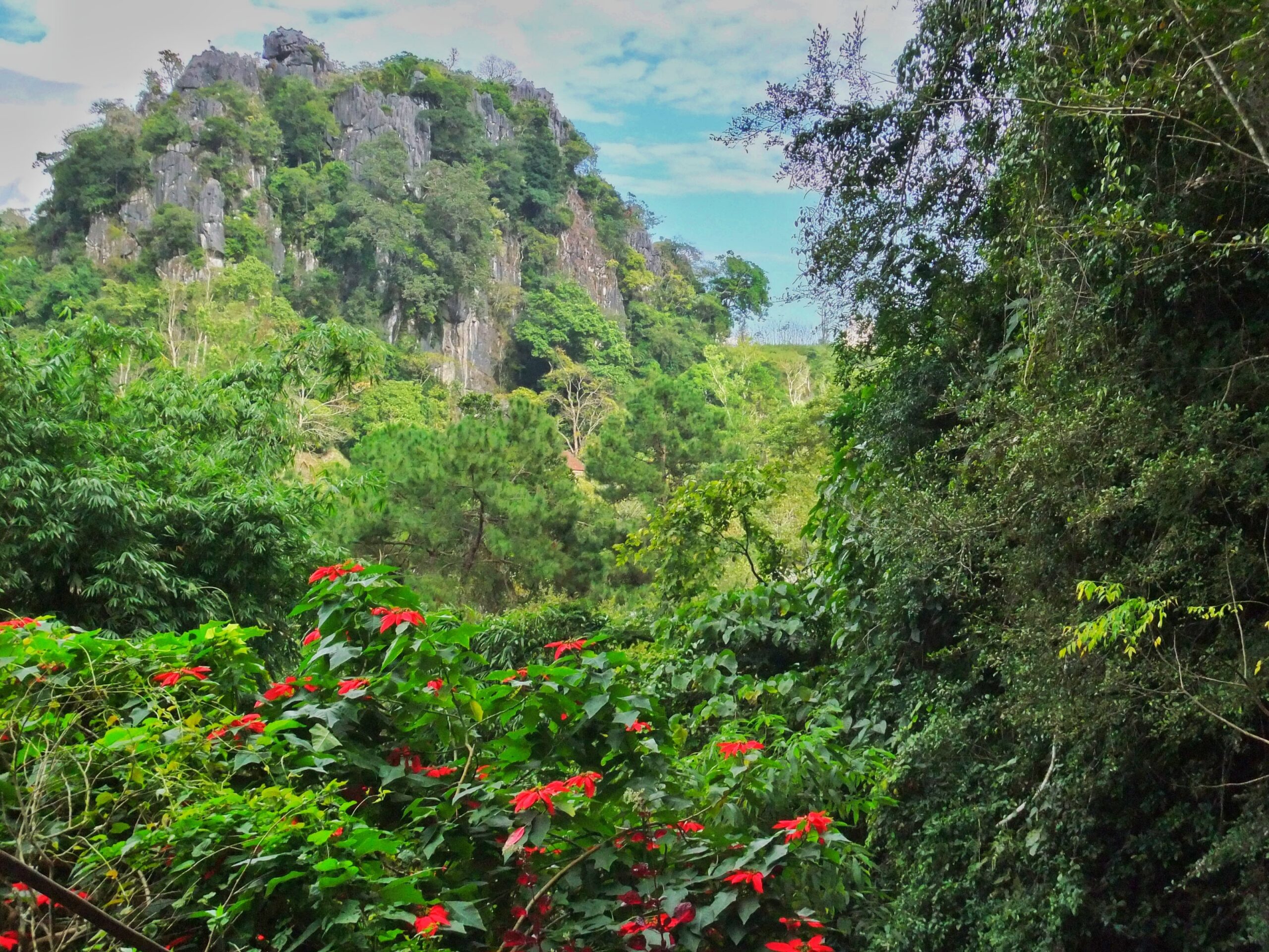 Vieng Xai Caves