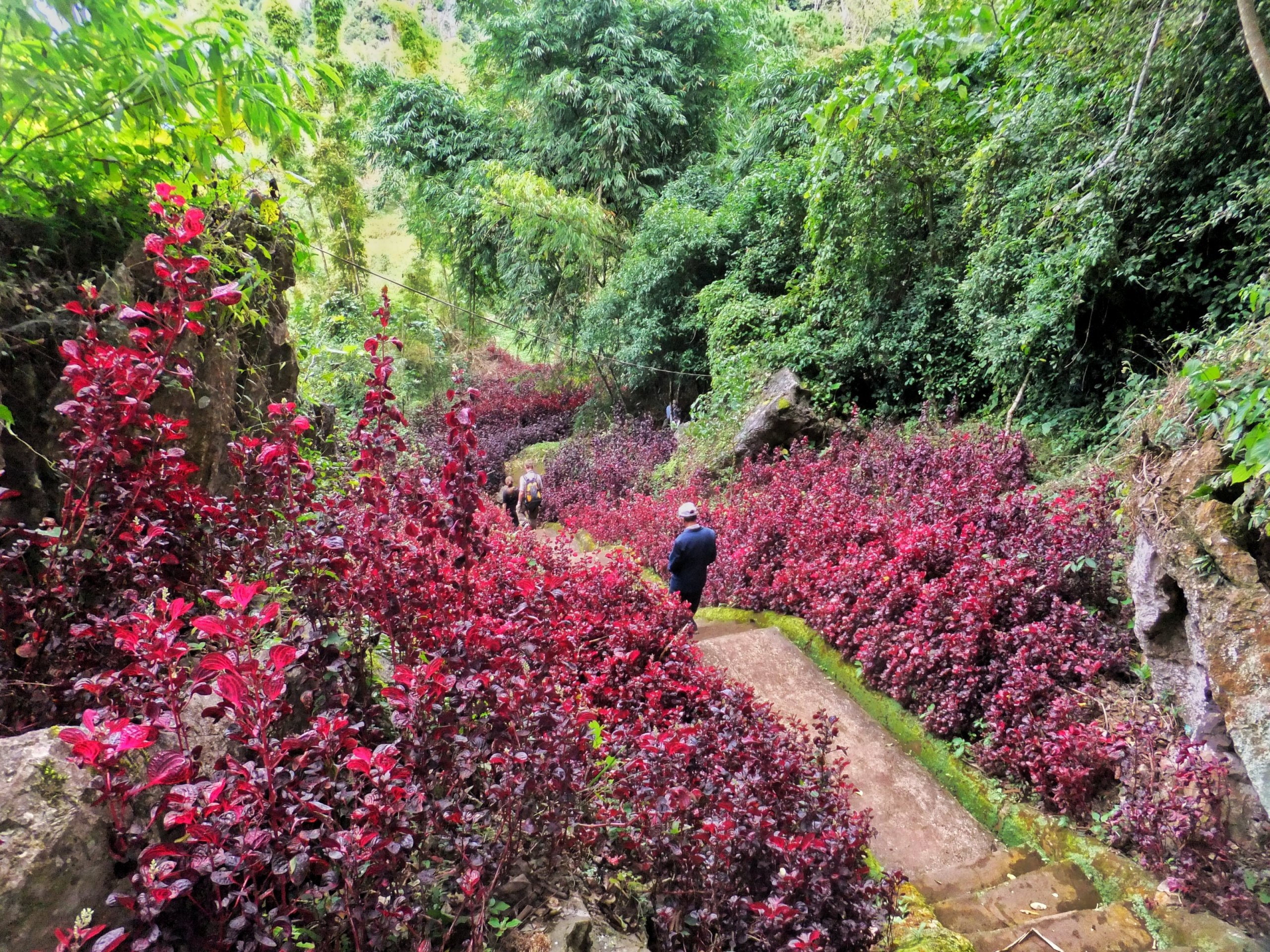 Vieng Xai Caves