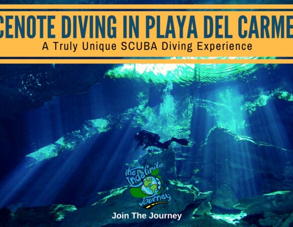 Cenote Diving In Playa Del Carmen – A Truly Unique SCUBA Diving Experience