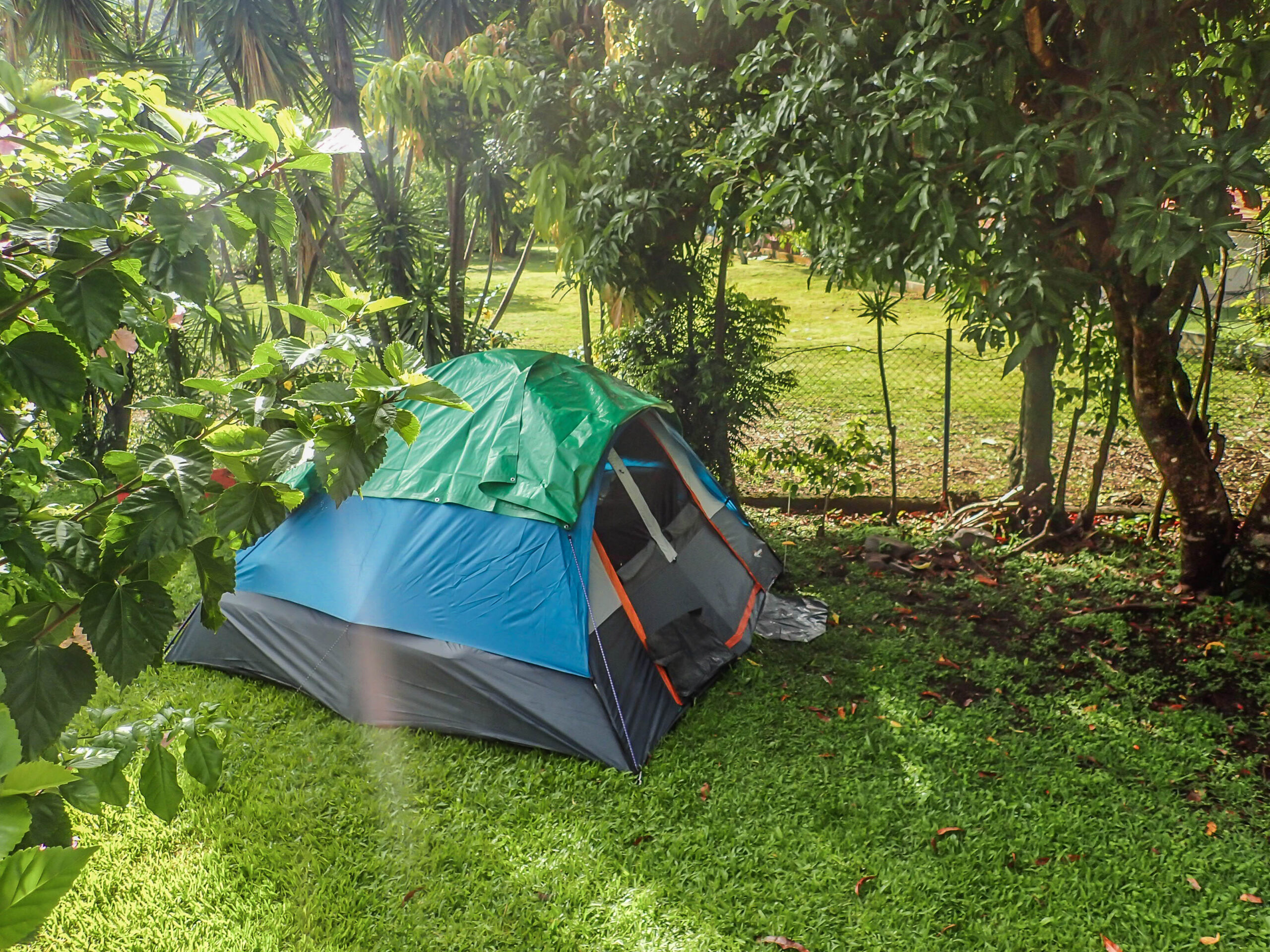 Boquete Panama Coffee