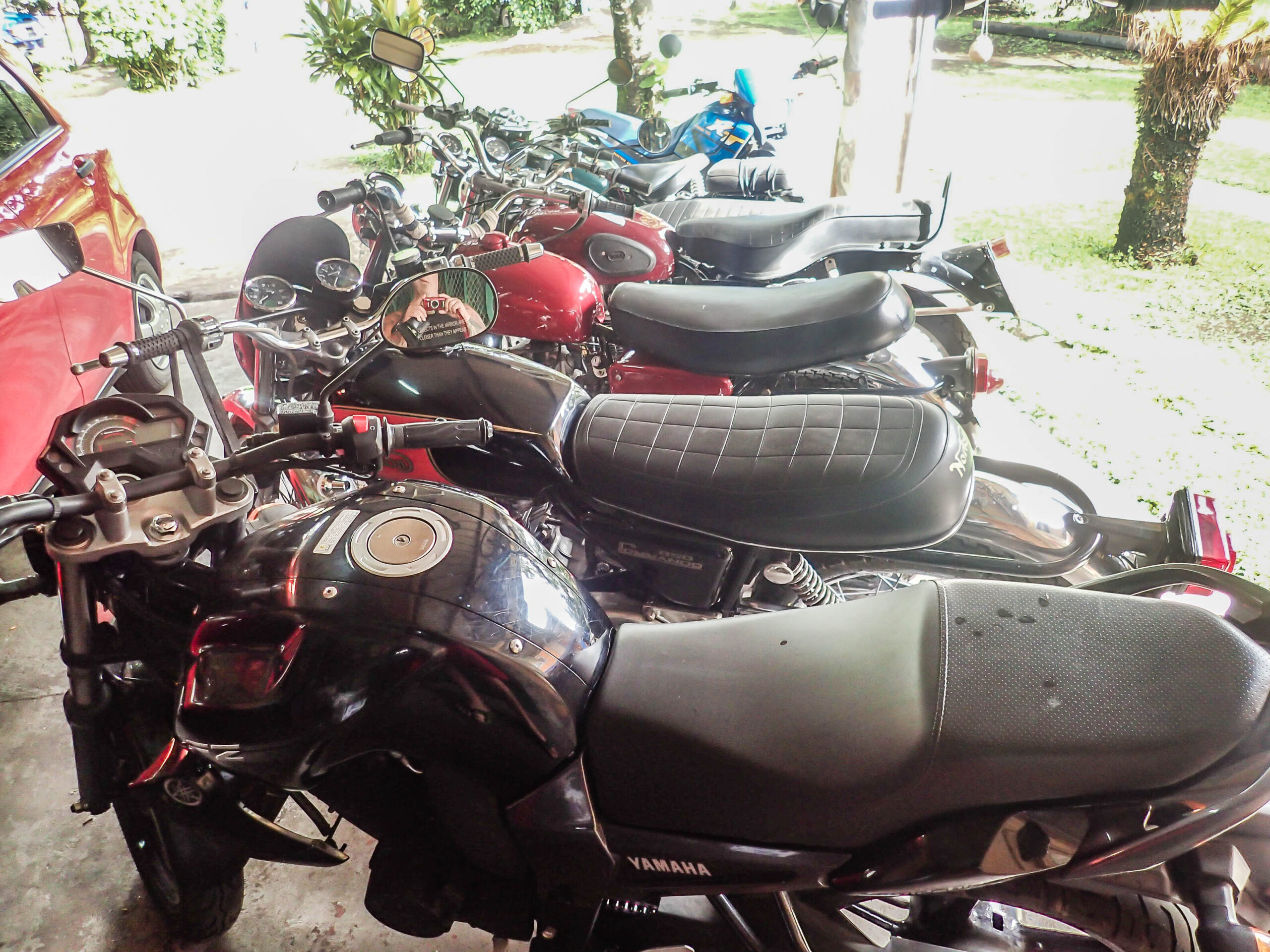 Boquete Panama Coffee