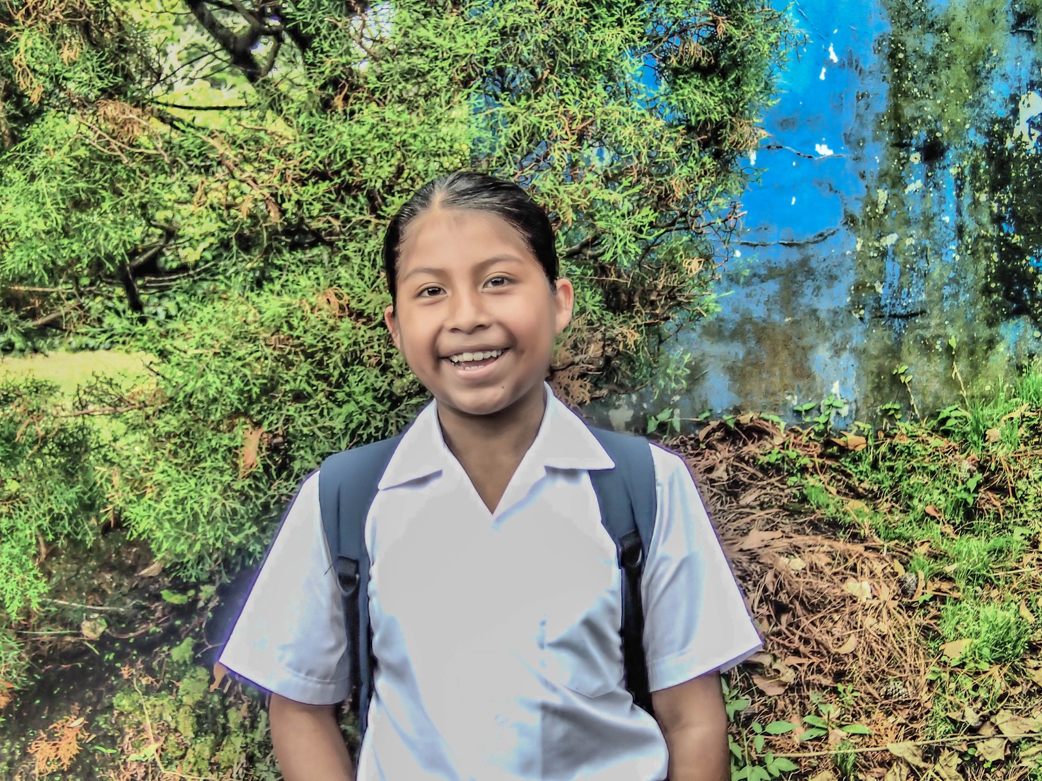 Boquete Panama Coffee