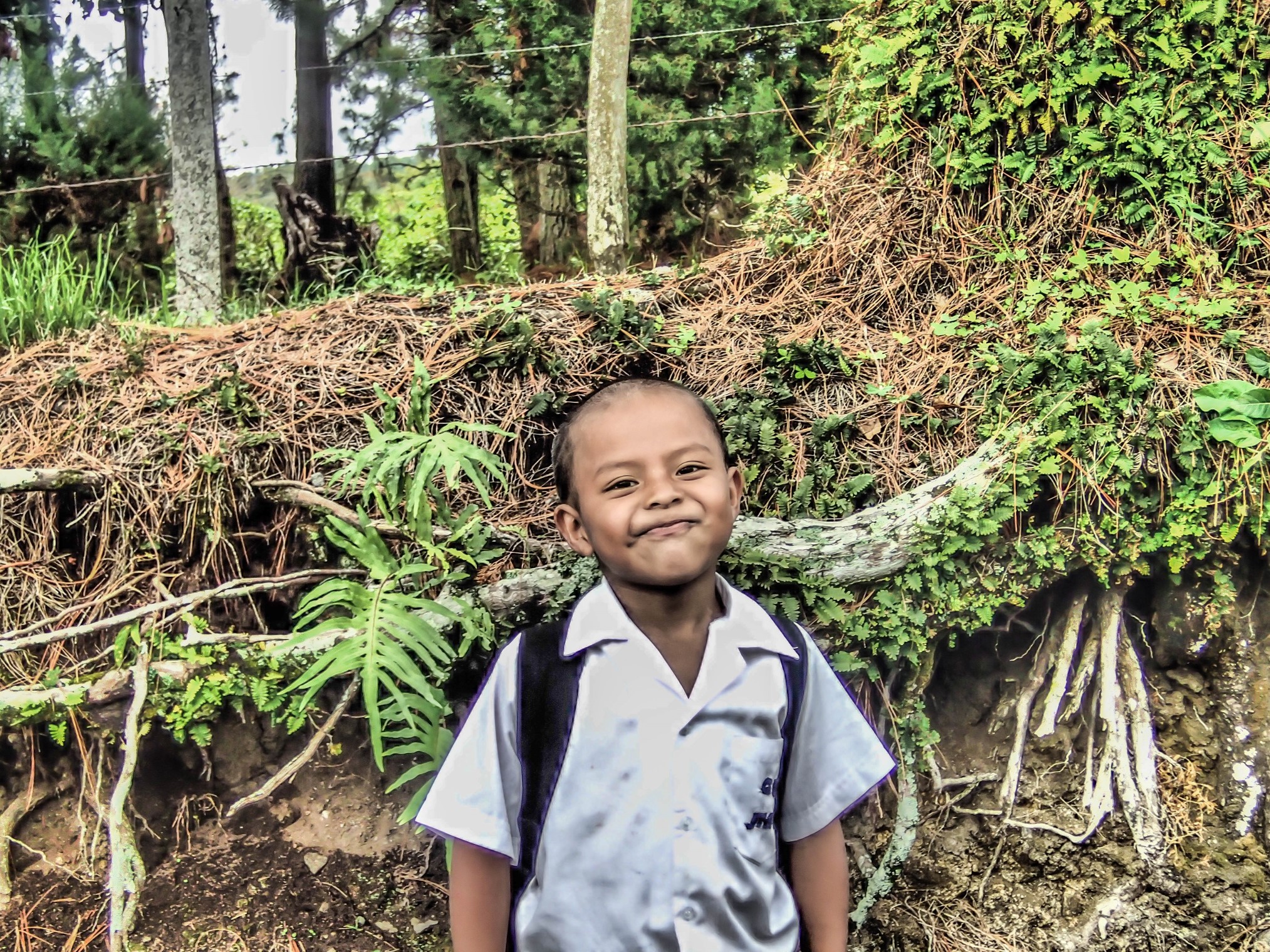 Boquete Panama Coffee